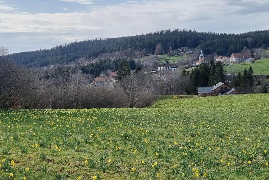 Villa Le Grenier De Jules Et Marguerite à Liézey Extérieur photo